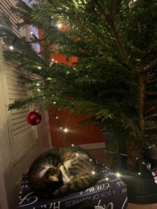 kerstboom