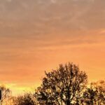 zonsondergang, oranje lucht en et silhouet van een boom