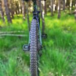 mtb, bike, mountainbike, sport, mountainbiker, forest, nature, green sports, green bike