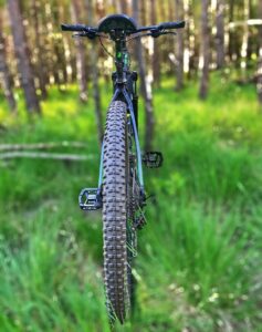 mtb, bike, mountainbike, sport, mountainbiker, forest, nature, green sports, green bike