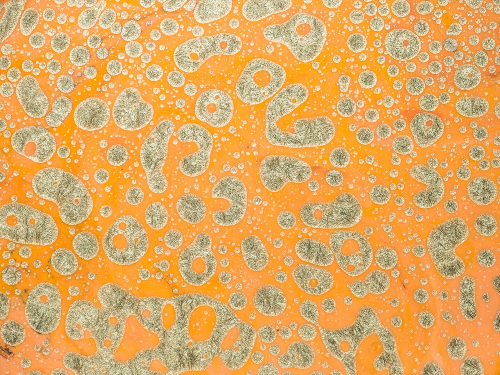 A vibrant abstract image featuring a textured pattern with orange and gray hues.